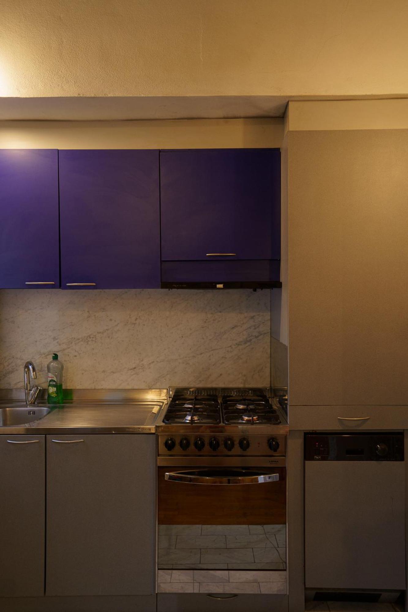 Lovely & Quite One Bedroom Near Piazza Santo Spirito Florencia Exterior foto